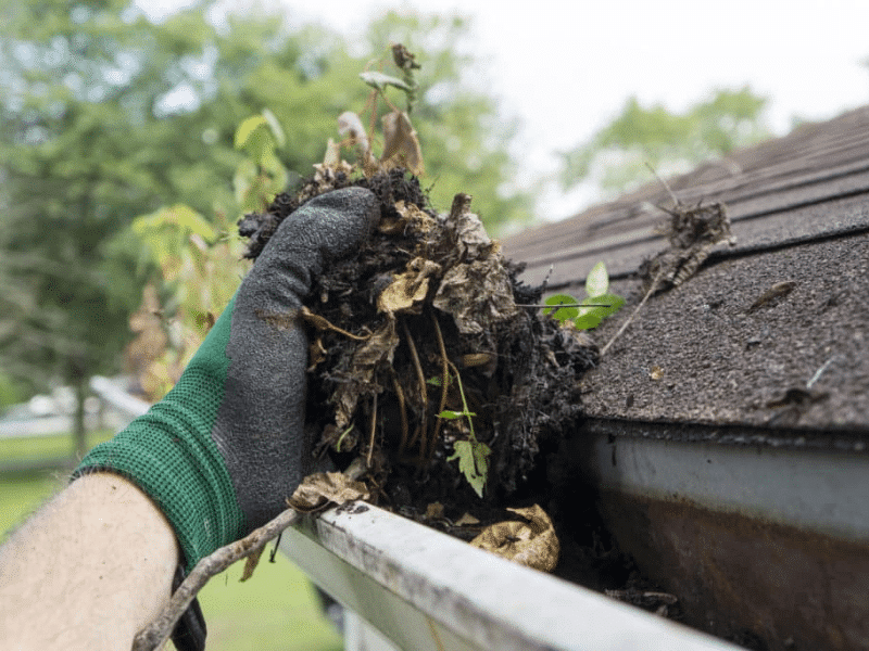 Gutter-Clean-Out-Services in Knoxville