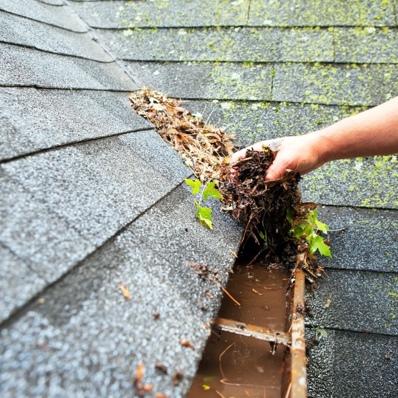 Gutter Cleaning in Knoxville TN